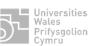 Universities Wales, Prifysgolion Cymru
